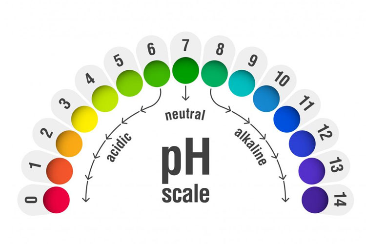 pH levels Become Balanced